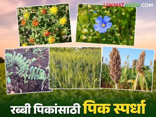 Pik Spardha 2024 : Grow More in Rabi Pik & Win Attractive Prizes How To Participate Read More | Pik Spardha 2024 : रब्बी पिकात अधिक उत्पादन घ्या आणि जिंका आकर्षक बक्षिसे.. स्पर्धेत कसे व्हाल सहभागी वाचा सविस्तर