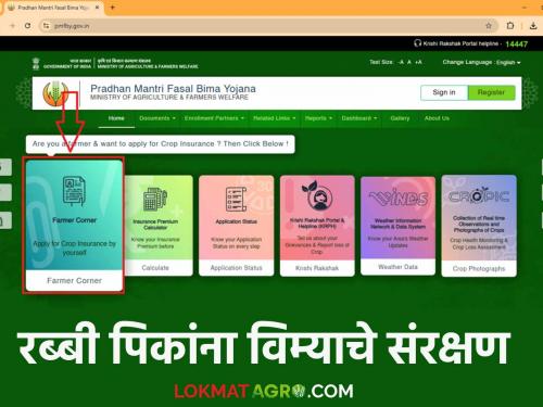 Pik Vima Yojana : Farmers Rabi crop Insurance application process has started; Here is the last date read in detail | Pik Vima Yojana : शेतकऱ्यांनो रब्बी पिक विमा अर्ज प्रक्रिया झाली सुरू ; ही आहे शेवटची तारिख वाचा सविस्तर