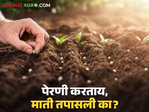 Soil Test: Do you want to save on Rabi expenses this year? Then get your soil tested today | Soil Test : यंदा रबीच्या खर्चात बचत करायची आहे का? मग आजच माती परीक्षण करा