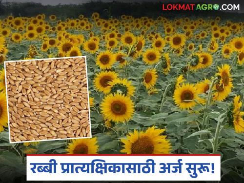 latest news Agriculture Schemes: Demonstration to increase production of Rabi crops; Register today | Agriculture Schemes : रब्बी पिकांच्या उत्पादन वाढीसाठी प्रात्यक्षिक; आजच नोंदणी करा