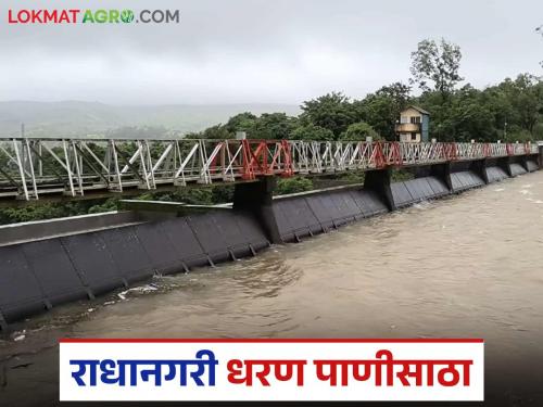 Radhanagari Dam's water storage increased by 7 percent in a day; How much water was stored in the dam? | राधानगरी धरणाच्या पाणीसाठ्यात एका दिवसात ७ टक्क्यांनी वाढ; धरणांत झाला किती पाणीसाठा?