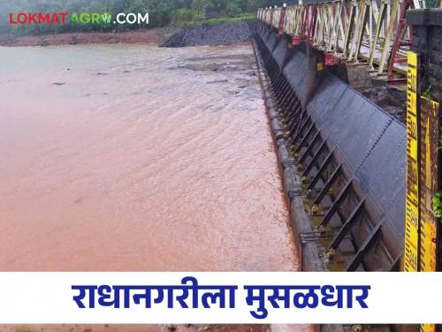 Heavy Rain Dam area in Kolhapur, know the water storage in big dams | कोल्हापूरात धरण क्षेत्रात धुवाधार, जाणून घ्या मोठ्या धरणांतील पाणीसाठा