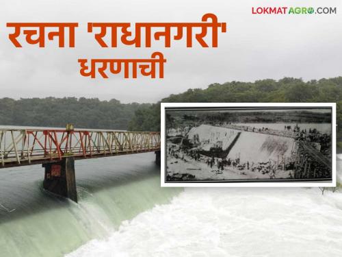 This is the first dam in the state with automatic gates; How was it built? Read in detail | स्वयंचलित दरवाजे असणारे राज्यातील 'हे' पहिले धरण; कशी झाली निर्मिती? वाचा सविस्तर
