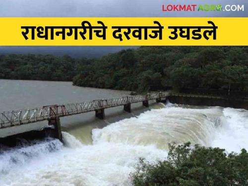 Radhanagri Dam : The gates of Radhanagri Dam opened third time due to heavy rain | Radhanagri Dam : राधानगरीचे दरवाजे तिसऱ्यांदा उघडले जोरदार पावसाने पाणी पाणी