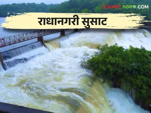 Radhanagari Dam Water Level: Six gates of Radhanagari dam opened, releasing 10,000 cusecs water | Radhanagari Dam Water Level: राधानगरी धरणाचे सहा दरवाजे उघडले १० हजार क्युसेकने विसर्ग