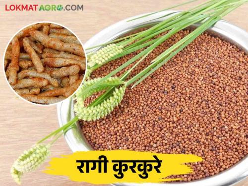 Ragi Kurkure : millets value added delicious and healthy ragi crisps | Ragi Kurkure : नाचणीचे मूल्यवर्धित स्वादिष्ट आणि आरोग्यदायी रागी कुरकुरे