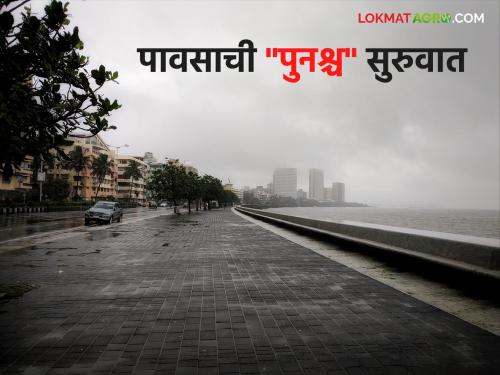 Maharashtra Rain Update: Heavy arrival of rains after break of few days;  Discharge from many dams including Ujani, Gangapur | Maharashtra Rain Update: काही दिवसांच्या ब्रेकनंतर पावसाचा दमदार आगमन;  उजनी, गंगापूरसह अनेक धरणांतून विसर्ग