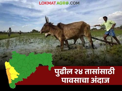 Latest News Rain alert Heavy rain warning for these districts for next 24 hours, read in detail | पुढील 24 तास 'या' जिल्ह्यांना मुसळधार पावसाचा इशारा, वाचा सविस्तर 