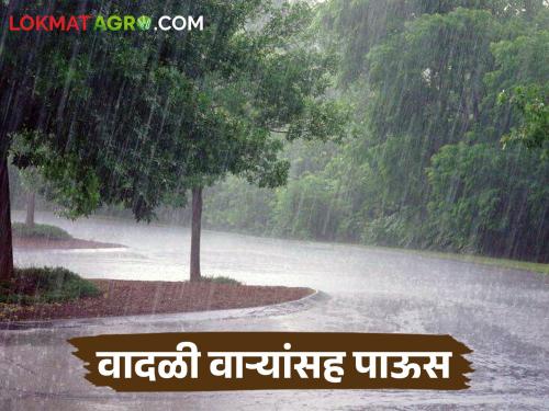 Maharashtra Weather Update How is the rain forecast in the state for the next five days? | Maharashtra Weather Update राज्यामध्ये पुढील पाच दिवस पावसाचा अंदाज कसा राहील?