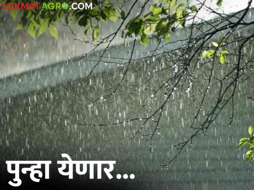 Maharashtra Weather Update: Rain will be active again in the state from today, where and what alert | Maharashtra Weather Update: आजपासून राज्यात पुन्हा सक्रिय होणार पाऊस, कुठे कुठला अलर्ट