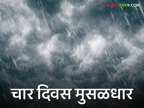 Rain Alert : Heavy rain for four days from today; Red alert for Pune, Satara, Orange alert issued for districts of Nashik, Vidarbha | Rain Alert : आज पासून चार दिवस मुसळधार; पुणे, साताऱ्याला रेड, नाशिक, विदर्भातील जिल्ह्यांना ऑरेंज अलर्ट जारी