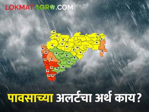 Rain Alert Do you know what Red, Orange, Green, Yellow Rain Alert means? Then read this | Rain Alert तुम्हाला माहिती आहे का पावसाचा रेड, ऑरेंज, ग्रीन, यलो अलर्ट म्हणजे काय? मग हे वाचाचं