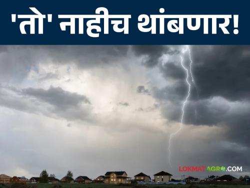 Rain Alert : Weather forecast; Rain will continue in Vidarbha till 5th | Rain Alert : हवामान खात्याचा अंदाज; विदर्भात पाच तारखेपर्यंत पाऊस बरसत राहणार