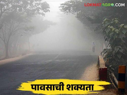 Cold weather for five days but chances of rain for four days from Wednesday, forecast by Meteorological Department | पाच दिवस थंडी पण बुधवारपासून चार दिवस पावसाची शक्यता हवामान विभागाचा अंदाज