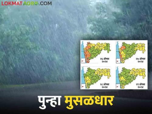 Maharashtra Weather Update : Monsoon will bring heavy rain again in next four days in this place in the state | Maharashtra Weather Update : मान्सूनची मुसंडी पुढील चार दिवसात राज्यात या ठिकाणी पुन्हा मुसळधार पाऊस