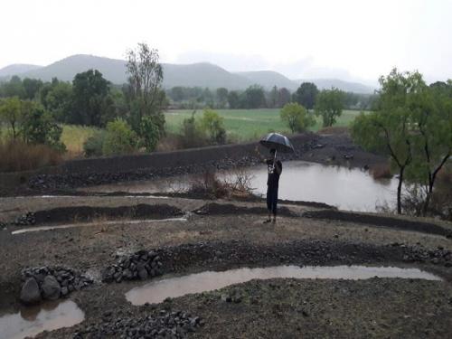 The rains returns in the second week of September in Maharashtra | पावसाची भेट सप्टेंबरच्या दुसऱ्या आठवड्यात; हवामान विभागाचा अंदाज