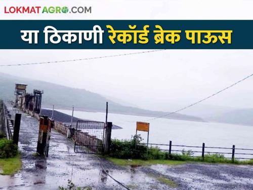 Maharashtra Heavy Rainfall: In Sangli district, 1 thousand 81 mm rainfall was recorded at this place till today | Maharashtra Heavy Rainfall सांगली जिल्ह्यात या ठिकाणी आज अखेर १ हजार ८१ मिलिमीटर पावसाची नोंद