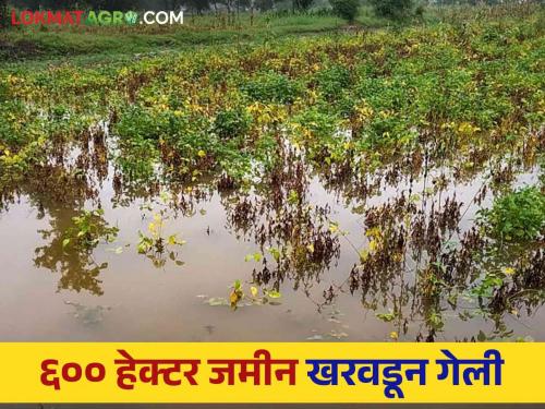 Crops covering 8.5 lakh hectares in 10 districts were washed away and the worst loss was in Nanded district | दहा जिल्ह्यांत ८.५ लाख हेक्टरवरील पिके गेली वाहून सर्वाधिक नुकसान नांदेड जिल्ह्यात