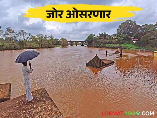 Maharashtra Weather Update: Heavy rain forecast at some places in these districts of the state | Maharashtra Weather Update: राज्यात या जिल्ह्यांत काही ठिकाणी जोरदार पावसाचा अंदाज