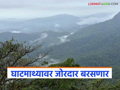 Heavy rains in these districts on the Ghats region from today; Rivers likely to flood | घाटमाथ्यावर या जिल्ह्यांत आजपासून जोरदार पाऊस; नद्यांना पूर येण्याची शक्यता