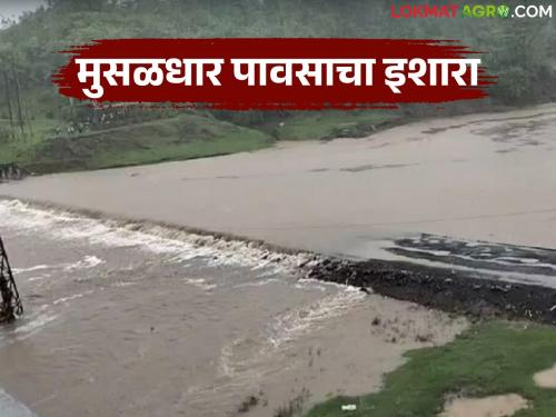 Rain intensity will increase due to low pressure area; Heavy rain warning in 'this' area of the state | कमी दाबाच्या क्षेत्रामुळे पावसाचा जोर वाढणार; राज्यात 'या' भागात मुसळधारचा इशारा