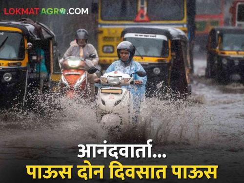 Weather Update In the state of Maharashtra, there will be heavy rain in the next four days in this district | Weather Update Maharashtra राज्यात पुढील चार दिवसात या जिल्ह्यात मुसळधार