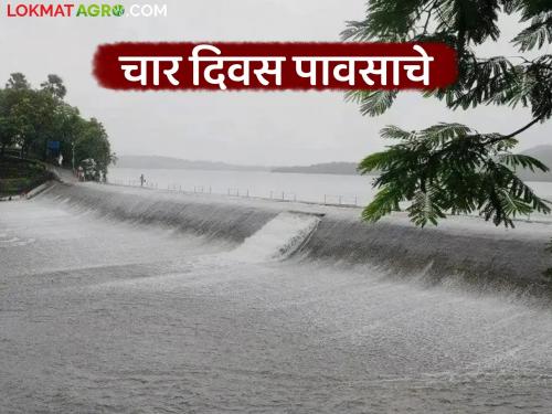 Rains will be active in these places in the state for four days from Hartalika to Rishi Panchami | राज्यात 'या' ठिकाणी हरतालिका ते ऋषीपंचमी या चार दिवसांत पाऊस सक्रिय होणार