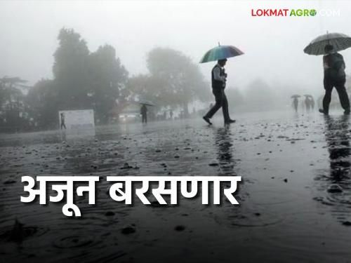 Maharashtra Weather Update: Low pressure zone persists, heavy rains warning in these districts | Maharashtra Weather Update: कमी दाबाचा पट्टा कायम, या जिल्ह्यांत जोरदार पावसाचा इशारा