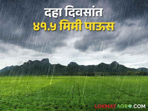 In Ambajogai taluka, 65 thousand hectares of soybeans will be sown; Tur sowning also increased | Kharif Cultivation अंबाजोगाई तालुक्यात ६५ हजार हेक्टरवर होणार सोयाबीनचा पेरा; तूर पेरा देखील वाढला