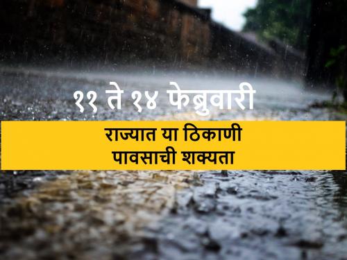 Cloudy weather in Maharashtra except Konkan, chances of rain in Vidarbha | राज्यात या भागात पावसाची शक्यता, तर कोकण वगळता अनेक ठिकाणी ढगाळ वातावरण