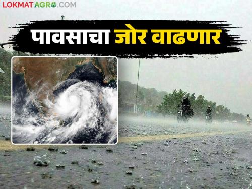 Low pressure area again in Bay of Bengal; Heavy rain in these places in the state for the next 3 days | बंगालच्या उपसागरात पुन्हा कमी दाबाचे क्षेत्र; राज्यात पुढील ३ दिवस 'या' ठिकाणी मुसळधार पाऊस