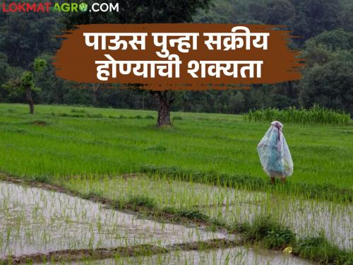 Rains will become active again in the state after a break; Rain is likely in these places in the next 5 days | विश्रांतीनंतर राज्यात पाऊस पुन्हा सक्रिय होणार; पुढील ५ दिवसांमध्ये या ठिकाणी पावसाची शक्यता