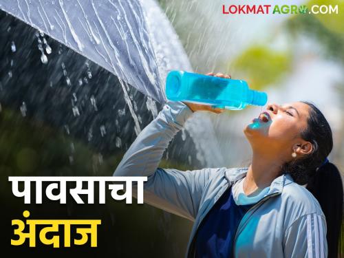 Heat wave in the state and rain forecast in Madhya Maharashtra, Marathwada, Vidarbha | राज्यात उष्णतेची लाट अन् मध्य महाराष्ट्र, मराठवाडा, विदर्भात पावसाचा अंदाज