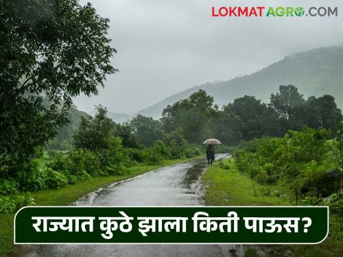 Maharashtra Rain Update: Below average rainfall in these districts of the state | Maharashtra Rain Update: राज्यात या जिल्ह्यांमध्ये सरासरीपेक्षा कमी पाऊस