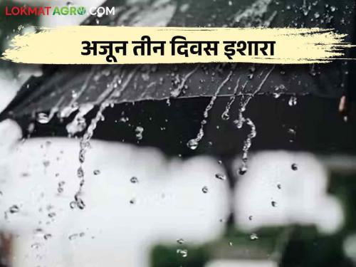 Maharashtra Weather Update: Red alert in these districts of Musaldhar state for four days | Maharashtra Weather Update: चार दिवस मुसळधार राज्यात या जिल्ह्यांत रेड अलर्ट