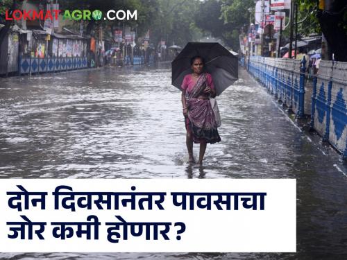 Latest News Monsoon rainfall will decrease in 29 districts of Maharashtra check here details | Maharashtra Monsoon Update : राज्यातील 'या' जिल्ह्यात मान्सूनचा जोर कमी होण्याची शक्यता, वाचा सविस्तर 