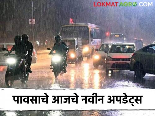 Latest News Maharashtra Rain Update Next 36 hours of heavy rain in maharashtra Know in detail  | Maharashtra Rain Update : पुढील 36 तास जोरदार पावसाचे, कुठे-कुठे बरसणार पाऊस? जाणून घ्या सविस्तर 