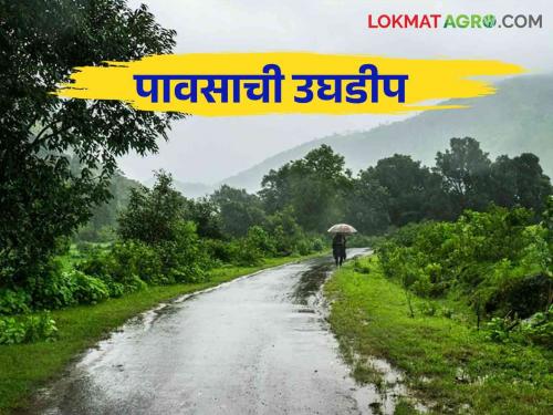 Maharashtra Weather Update : Yellow alert of rain in these districts in the state today | Maharashtra Weather Update : आज राज्यात या जिल्ह्यांत पावसाचा यलो अलर्ट