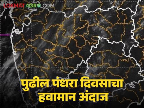 Latest News Maharashtra Rain Update How will rain be in Mumbai, Konkan, Vidarbha, rest of Maharashtra for next fifteen days | Maharashtra Rain Update : पुढील पंधरा दिवस मुंबई, कोकण, विदर्भ, उर्वरित महाराष्ट्रात पाऊस कसा असेल? 