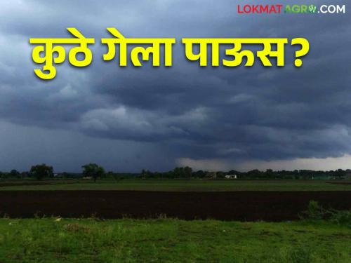 Weather Update: Sees a rush of clouds; But why is it not raining? | Weather Update ढगांची गर्दी दिसते; पण पाऊस का पडत नाही?