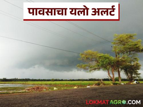 Chance of rain with thunderstorm in the state; Yellow alert for these 7 districts | राज्यात वादळी वाऱ्यासह पावसाची शक्यता; या ७ जिल्ह्यांना यलो अलर्ट
