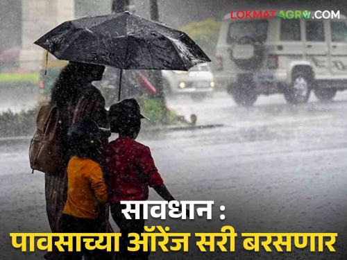 IMD Weather Forecast And Rain Updates: Read exactly what alert is there today | IMD Weather Forecast And Rain Updates: आज कुठे कोणता अलर्ट आहे नक्की वाचा