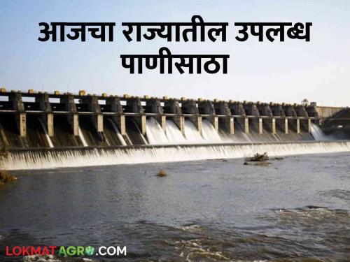 Latest News Available water storage in dams in maharashtra in june last week | Maharashtra Dam Storage : राज्यात जूनच्या शेवटच्या आठवड्यात कुठल्या धरणात किती पाणी? वाचा सविस्तर 