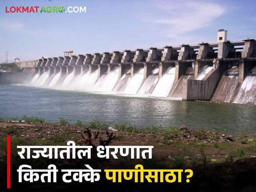 Latest News How Much In maharasshtra gangapur, jayakwadi, koyana dam water storage see details | Maharashtra Dam Storage : राज्यातील कोणत्या धरणांमध्ये सर्वाधिक जलसाठा? जाणून घ्या सविस्तर