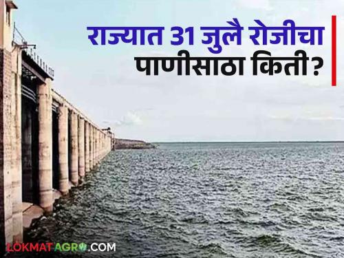 Latest News on July 31 how much water storage in maharashtra dams check here details | Maharashtra Dam Storage : राज्यात 'या' जिल्ह्यातील धरणे तुडुंब, वाचा आज किती पाणी आलं? 