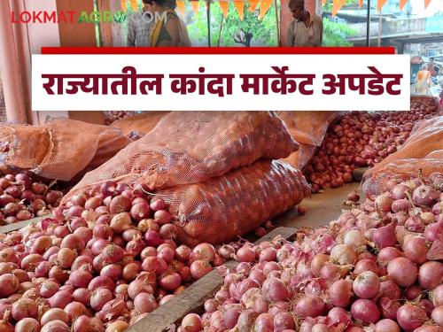 Summer onion arrivals in Nashik district have decreased, what is the price being obtained? | Kanda Bajar Bhav : नाशिक जिल्ह्यात उन्हाळ कांद्याची आवक घटली, काय मिळतोय दर? 