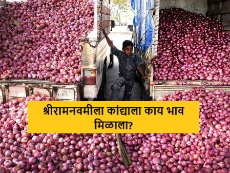 Latest News Todays Summer Onion Market Price In nashik and maharashtra market yards | Onion Market : लासलगाव, रामटेक बाजार समितीत उन्हाळ कांद्याला काय भाव मिळाला? वाचा सविस्तर 