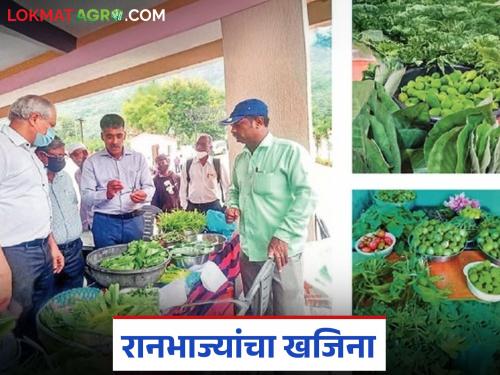 A treasure trove of wild vegetables in the Sahyadri Mountains; This is how the journey of women's self-employment began | सह्याद्रीच्या कुशीत रानभाज्यांचा खजिना; यातूनच सुरु झाला महिला स्वयंरोजगाराचा प्रवास