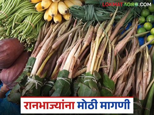 Ranbahjya : Demand for wild vegetables, which are not only tasty but also beneficial for health, has increased; prices are also affordable | Ranbhajya : चवीलाच नाही तर आरोग्यासाठी गुणकारी रानभाज्यांना वाढली मागणी; दरही परवडणारे