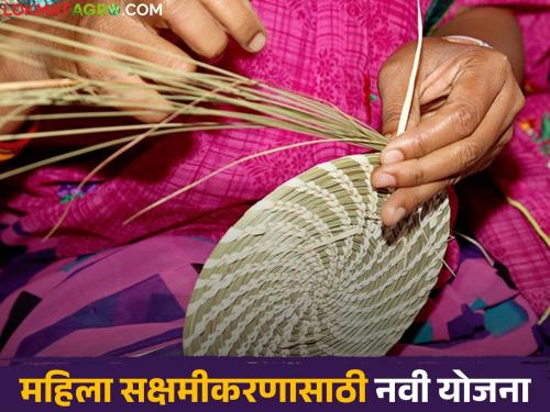 100 percent subsidy for tribal women to start various businesses; 'This' new scheme announced | आदिवासी महिलांना विविध व्यवसाय सुरु करण्यासाठी १०० टक्के अनुदान; 'ही' नवीन योजना जाहीर